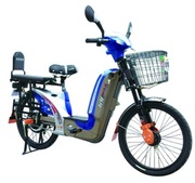 Велосипед с электродвигателем: надежный помощник для дачи и села